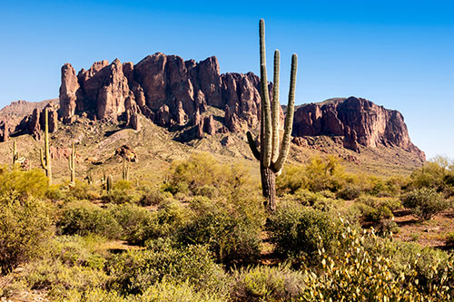  html    head  title 500 Internal Server Error  title   head    body    center  h1 500 Internal Server Error  h1   center    hr  center nginx 1.29.3  center     body     html 